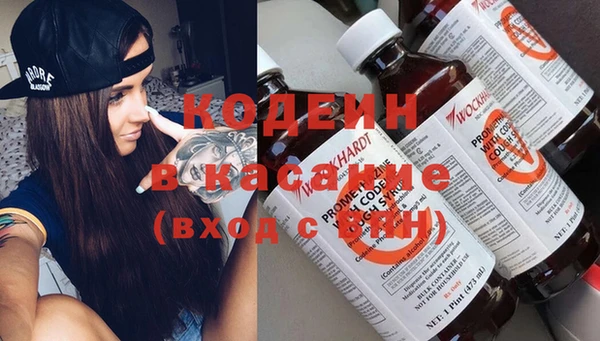 спайс Корсаков