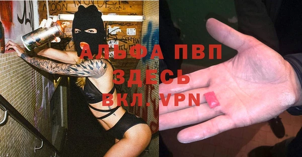 ГАЛЛЮЦИНОГЕННЫЕ ГРИБЫ Коряжма