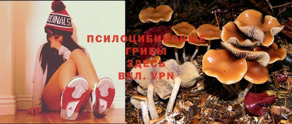 героин Козловка