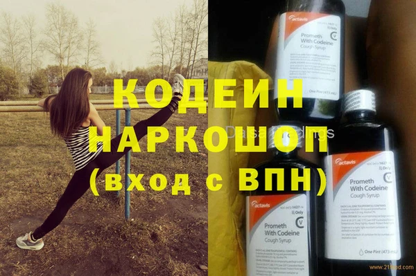 сатива Козельск