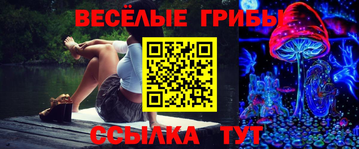 Галлюциногенные грибы мухоморы Богородицк