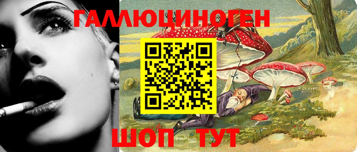 Богородицк  продажа наркотиков  Вход с VPN  Галлюциногенные грибы GOLDEN TEACHER  Псилоцибиновые грибы прущие грибы 