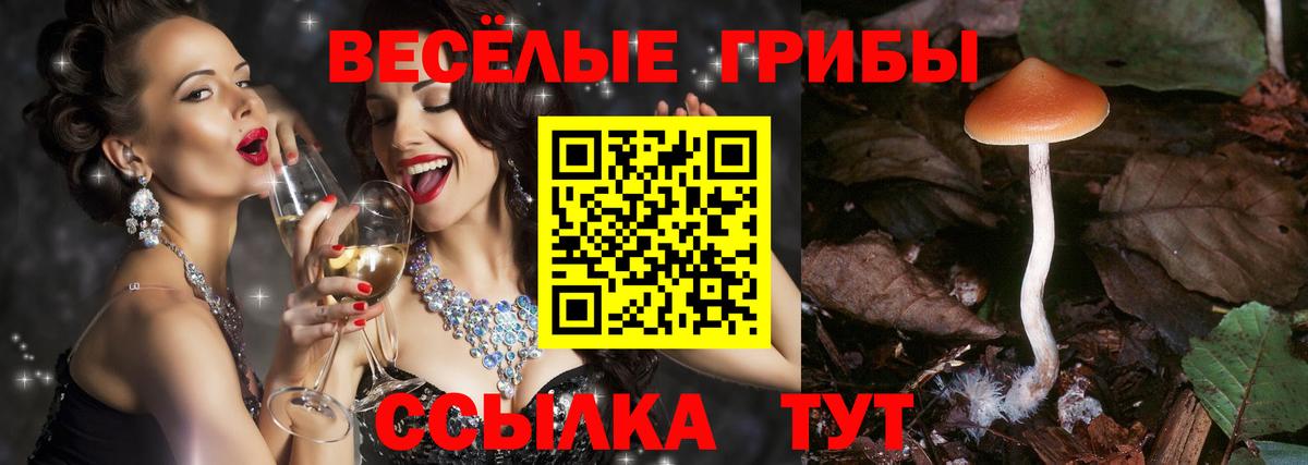 Галлюциногенные грибы MAGIC MUSHROOMS Богородицк