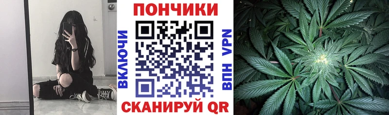 Канабис гибрид  Богородицк 